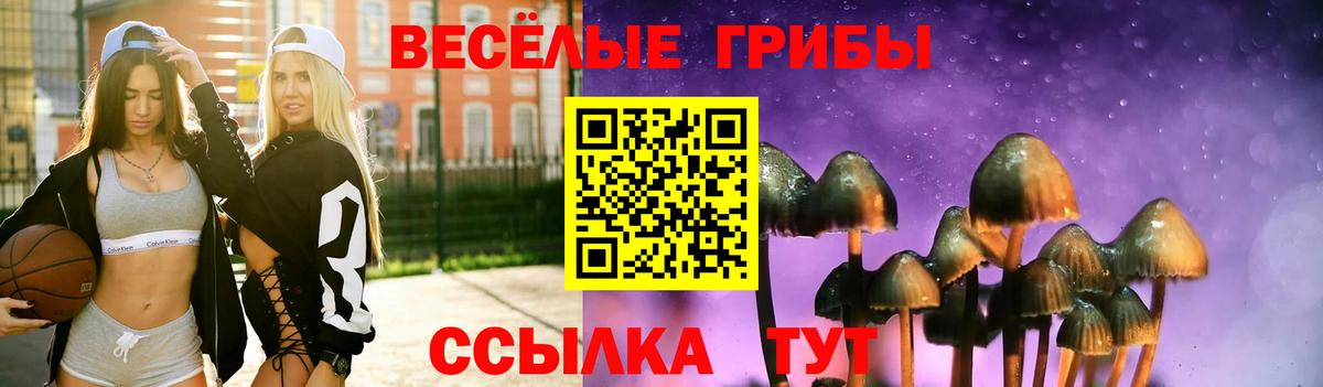 Хабаровск  Псилоцибиновые грибы прущие грибы  Вход с VPN 